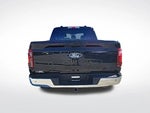 2025 F-150 Thumbnail 20