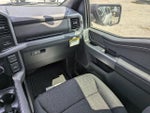 2026 F-150 Thumbnail 16
