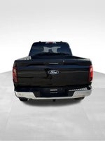 2024 F-150 Thumbnail 11