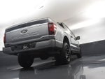 2024 F-150 Thumbnail 14