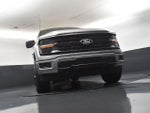 2024 F-150 Thumbnail 19