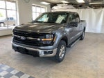 2024 F-150 Thumbnail 4
