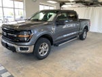 2024 F-150 Thumbnail 5