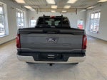 2024 F-150 Thumbnail 9