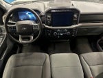 2024 F-150 Thumbnail 14
