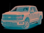 2024 F-150 Thumbnail 19