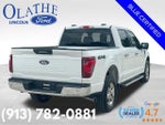 2024 F-150 Thumbnail 6