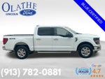 2024 F-150 Thumbnail 7