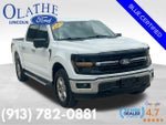 2024 F-150 Thumbnail 8