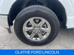 2024 F-150 Thumbnail 12