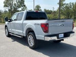 2024 F-150 Thumbnail 6