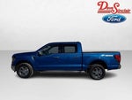 2024 F-150 Thumbnail 10