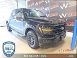 2024 F-150 Thumbnail 1