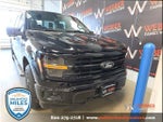 2024 F-150 Thumbnail 2