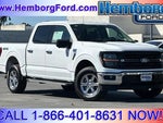 2024 F-150 Thumbnail 1