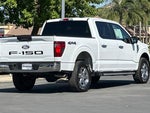 2024 F-150 Thumbnail 4