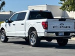 2024 F-150 Thumbnail 6