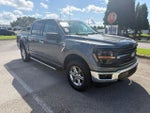 2025 F-150 Thumbnail 3