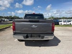 2025 F-150 Thumbnail 7