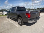 2025 F-150 Thumbnail 8