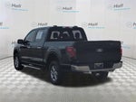 2025 F-150 Thumbnail 7
