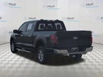 2025 F-150 Thumbnail 7
