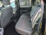 2025 F-150 Thumbnail 10