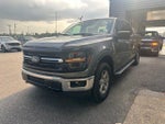 2025 F-150 Thumbnail 11