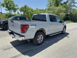 2025 F-150 Thumbnail 4