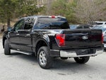 2025 F-150 Thumbnail 3