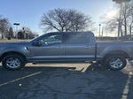 2025 F-150 Thumbnail 2