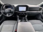 2024 F-150 Thumbnail 12