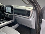 2024 F-150 Thumbnail 13