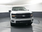 2024 F-150 Thumbnail 3