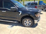 2024 F-150 Thumbnail 4