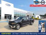 2024 F-150 Thumbnail 13