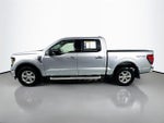 2024 F-150 Thumbnail 4