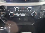2025 F-150 Thumbnail 19