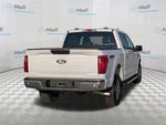 2025 F-150 Thumbnail 4