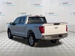 2025 F-150 Thumbnail 6