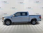 2025 F-150 Thumbnail 7