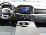 2025 F-150 Thumbnail 2
