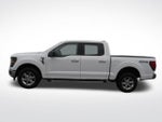 2025 F-150 Thumbnail 13