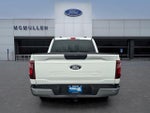 2025 F-150 Thumbnail 6