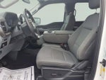 2025 F-150 Thumbnail 18