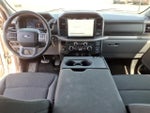 2025 F-150 Thumbnail 13