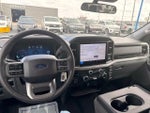 2025 F-150 Thumbnail 24