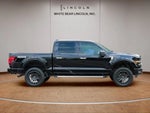 2025 F-150 Thumbnail 4