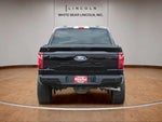 2025 F-150 Thumbnail 6