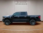 2025 F-150 Thumbnail 8